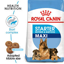 Royal Canin Maxi Starter 4kg - Image 2